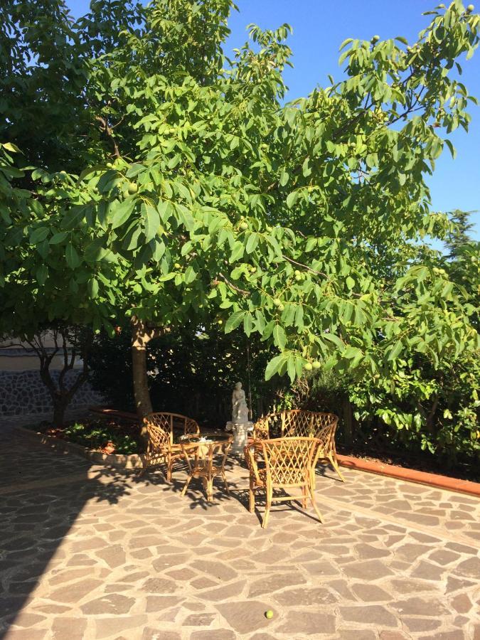 B&B "Croce Nivera" Vibo Valentia Exterior foto